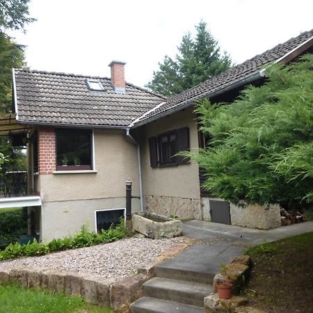 Villa Hasenecke Bad Salzungen Esterno foto