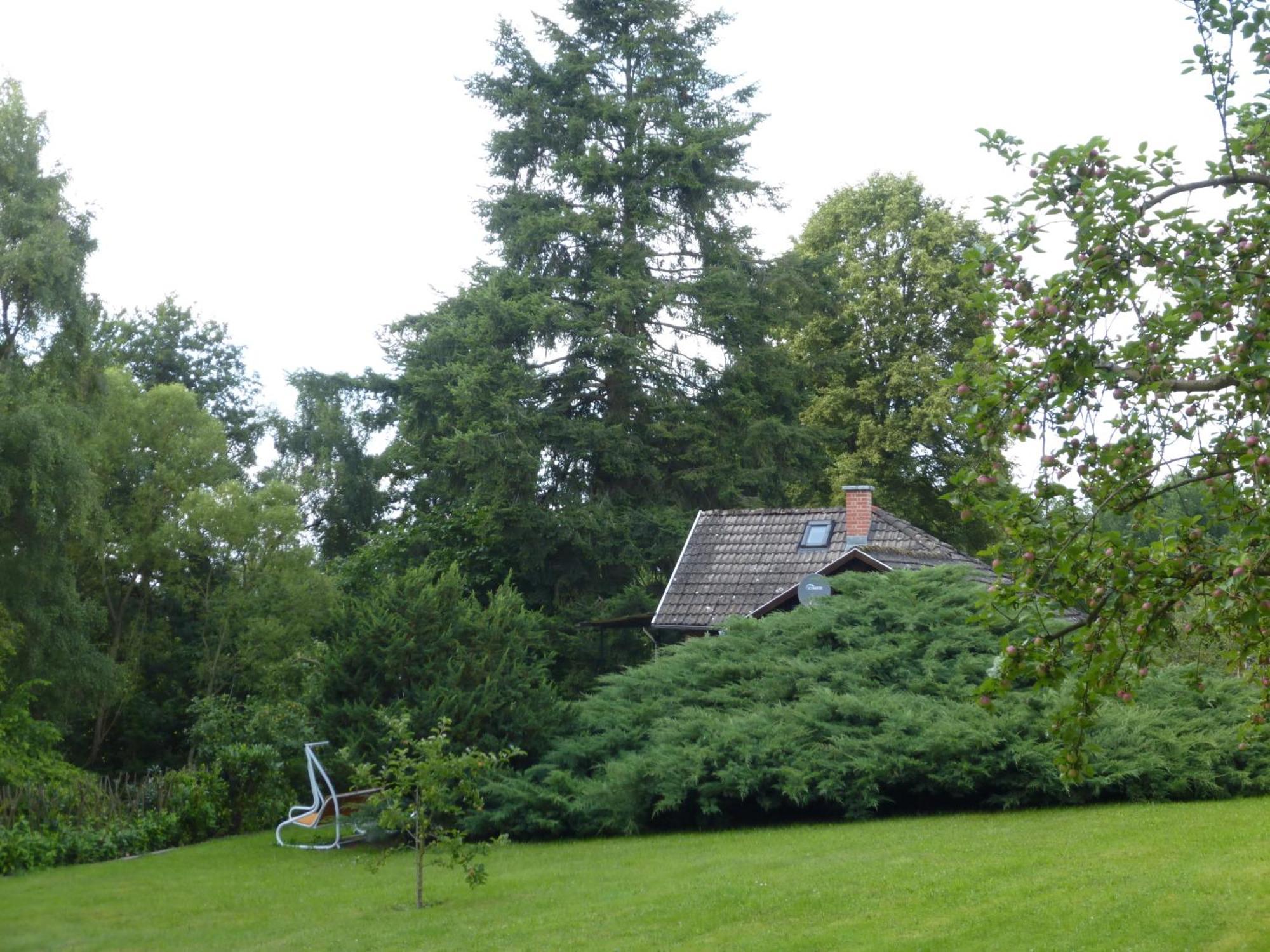 Villa Hasenecke Bad Salzungen Esterno foto
